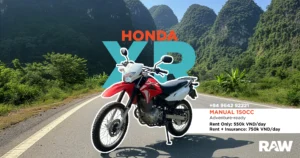 Honda XR