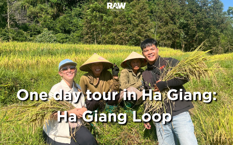 If you only have one day in Ha Giang but still want to enjoy the special mountain roads of the Northeast, a 1-day Ha Giang Loop tour is a great option to consider.